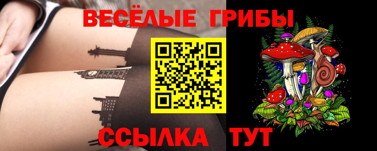 Салехард  Псилоцибиновые грибы Psilocybe  Вход с VPN 